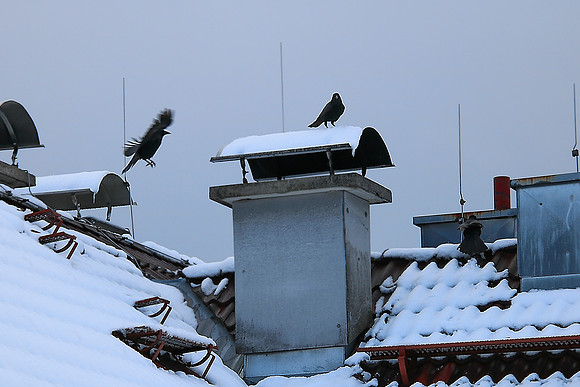 Winterimpressionen aus Salzburg