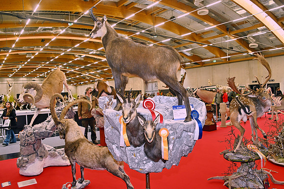 Hohe Jagd & Fischerei