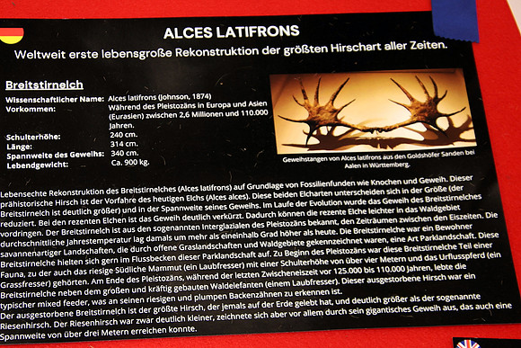 Hohe Jagd & Fischerei