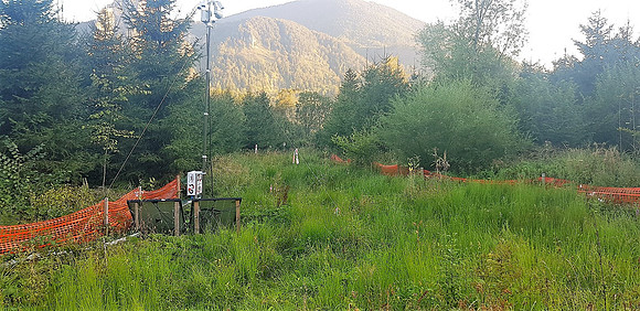 Erdkabel statt Masten
