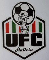 Logo UFC Hallein