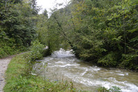 14. Glasenbachklamm-Lauf