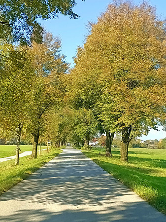 Herbstzeit in Taxch