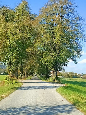 Herbstzeit in Taxch