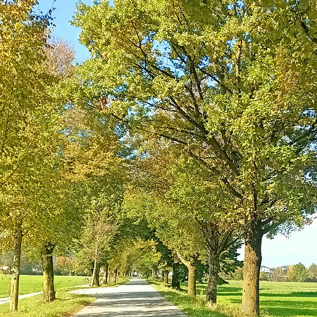 Herbstzeit in Taxch