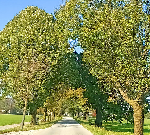 Herbstzeit in Taxch