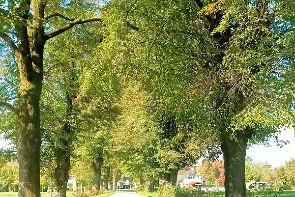 Herbstzeit in Taxch