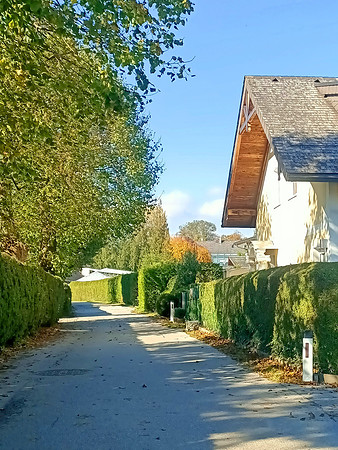 Herbstzeit in Taxch