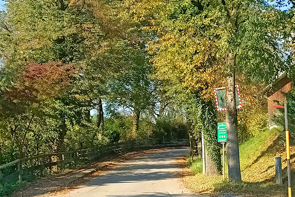 Herbstzeit in Taxch