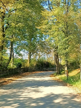 Herbstzeit in Taxch