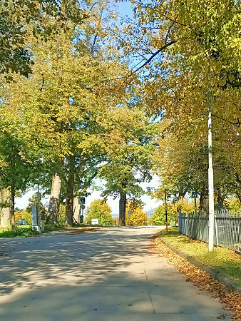 Herbstzeit in Taxch