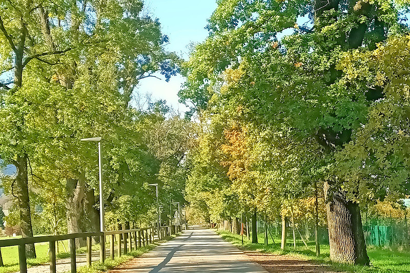 Herbstzeit in Taxch