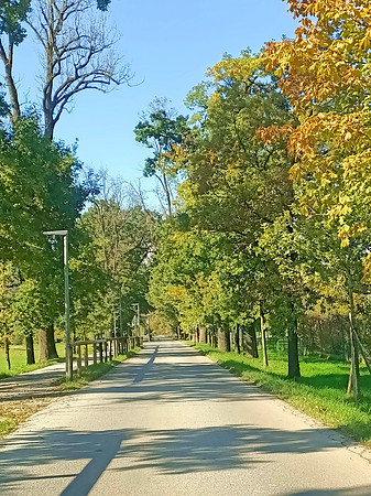Herbstzeit in Taxch