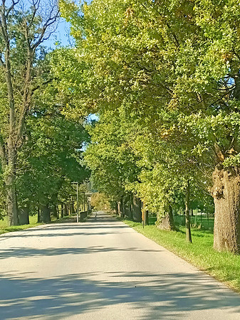 Herbstzeit in Taxch