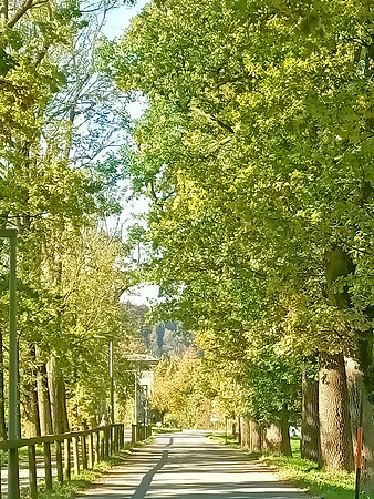 Herbstzeit in Taxch