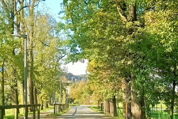Herbstzeit in Taxch