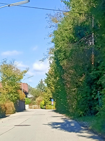 Herbstzeit in Taxch