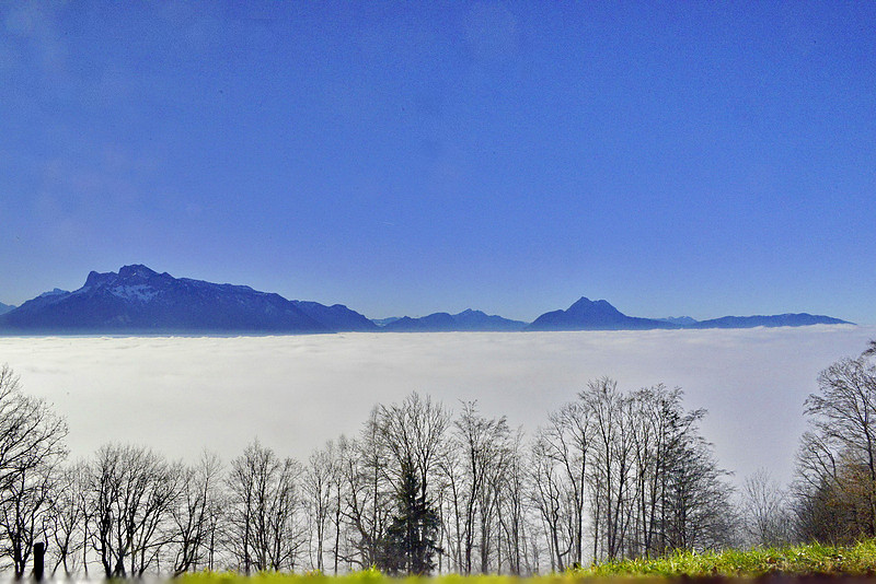 Nebel hat die Stadt in Griff