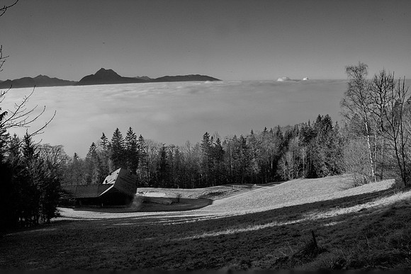 Nebel hat die Stadt in Griff