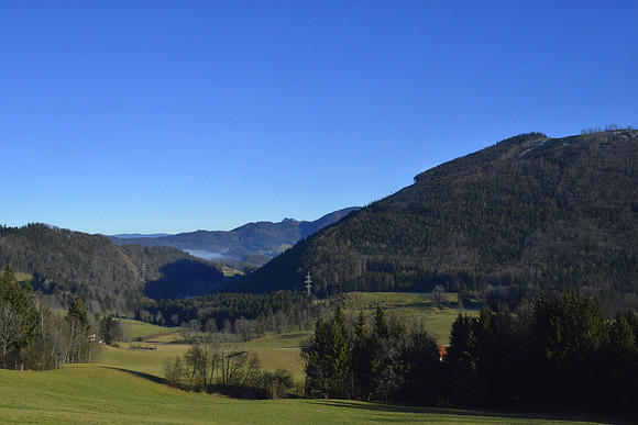Nebel hat die Stadt in Griff