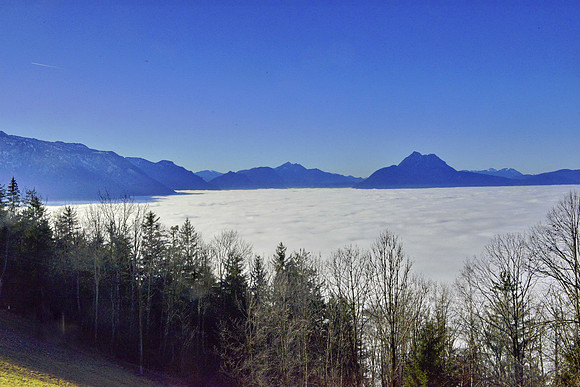 Nebel hat die Stadt in Griff