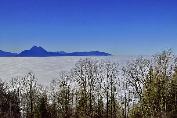 Nebel hat die Stadt in Griff