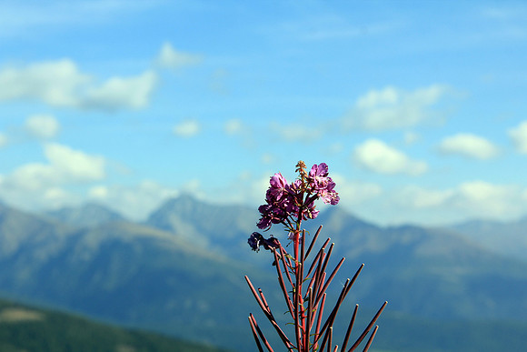 Impressionen Lungau