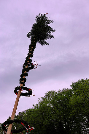 Maibaumaufstellen St. Jakob am Thurn