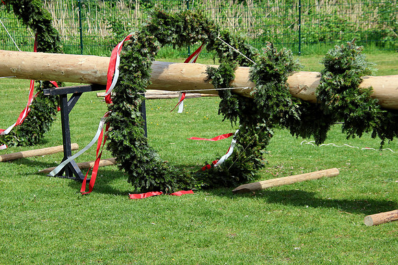 Maibaumaufstellen St. Jakob am Thurn