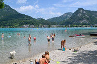 The ORGANICS Beach