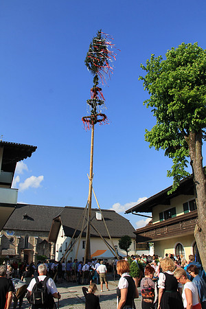 01.05.2014 Maibaumaufstellen Bad Vigaun