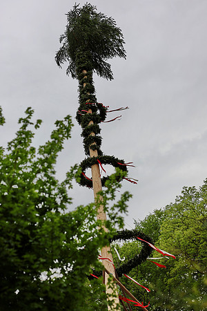 Maibaumaufstellen St. Jakob am Thurn