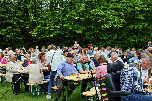 Maibaumaufstellen St. Jakob am Thurn