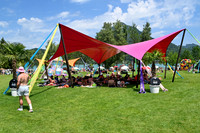 The ORGANICS Beach