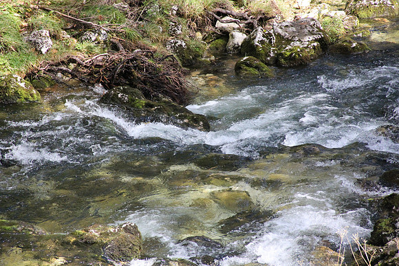 Natur in Torren