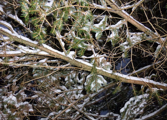 Adventspaziergang Golling 2012