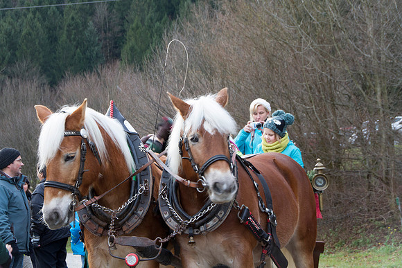 Adventspaziergang 2014
