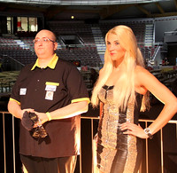 PDC Austrian Dart Open 2014