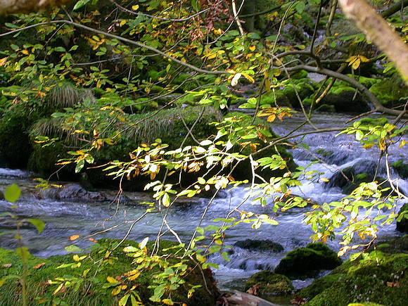 Gollinger Wasserfall