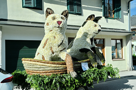 Bootskorso in Altaussee