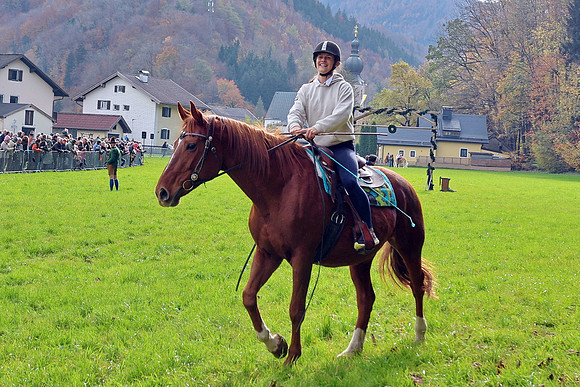 Leonhardiritt und Kutschenfahrt