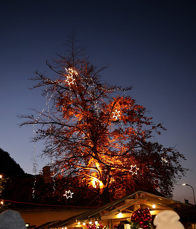 Halleiner Weihnachtsmarkt