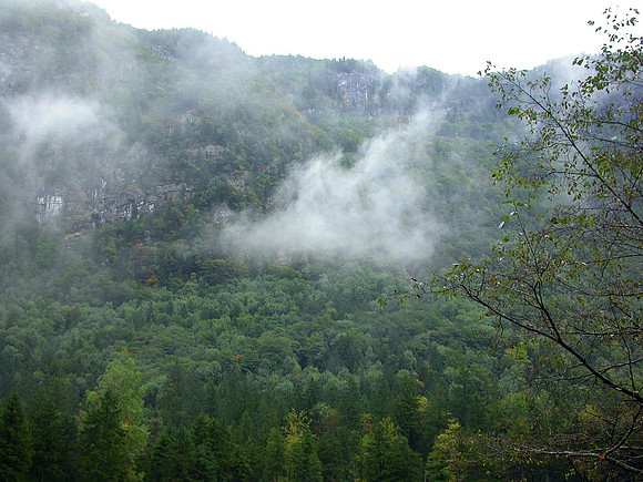 Bluntautal