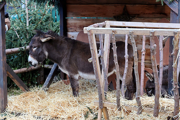 St. Leonharder Adventmarkt mit den Grödiger Krampussen