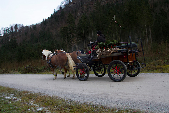 Adventspaziergang 2014