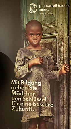 Reasons for Hope