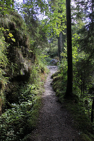 Natur in Torren
