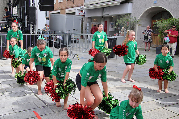 Stadtfest Hallein