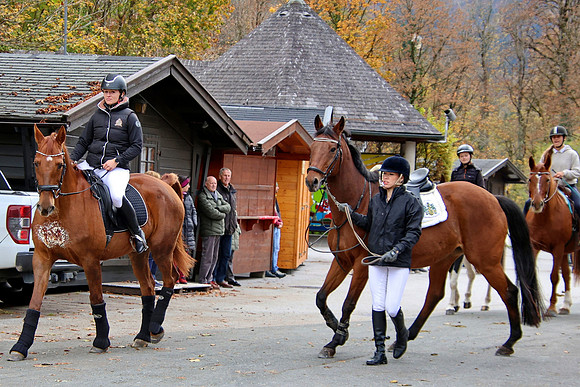 Leonhardiritt und Kutschenfahrt