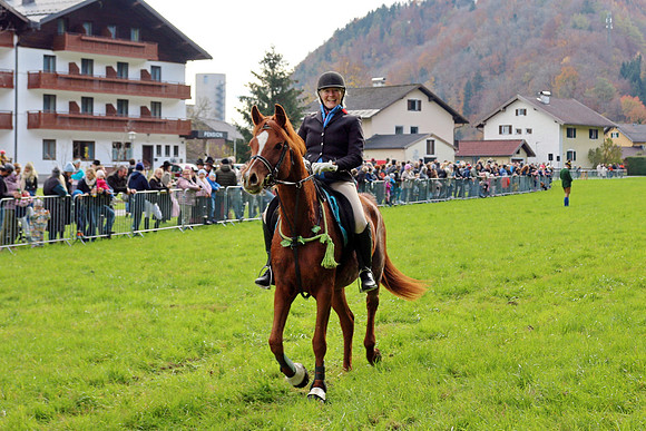 Leonhardiritt und Kutschenfahrt